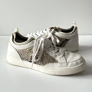 Steve Madden Bliss Lace Up Sneaker White Leather & Snakeskin Size 10M